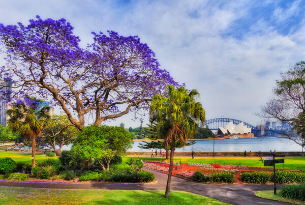 Sydney city gardens with the Sydney Opera House in the background