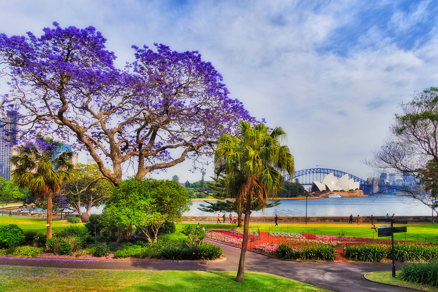 Sydney city gardens with the Sydney Opera House in the background