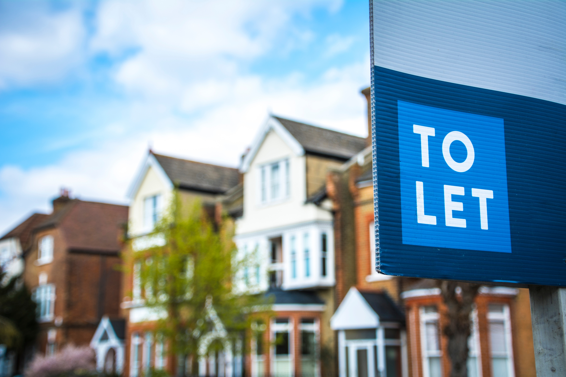 A “to let” sign outside a row of houses